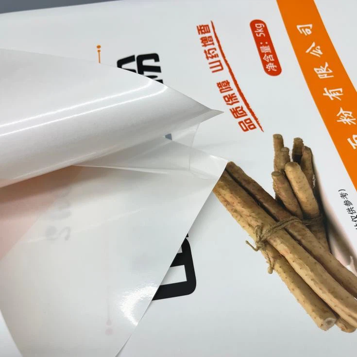 Custom Printed 5kg Flour Bag With Handle